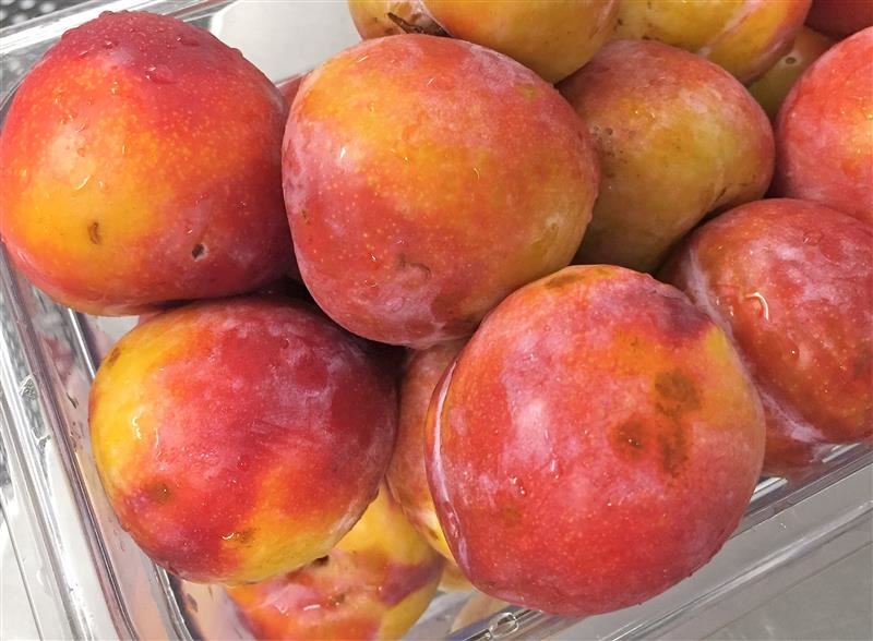Fresh local plums Fresh local plums